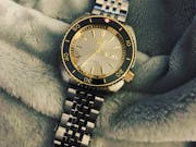 SRP Turtle Watch Bracelet: Beads of Rice Brushed/Polished Finish