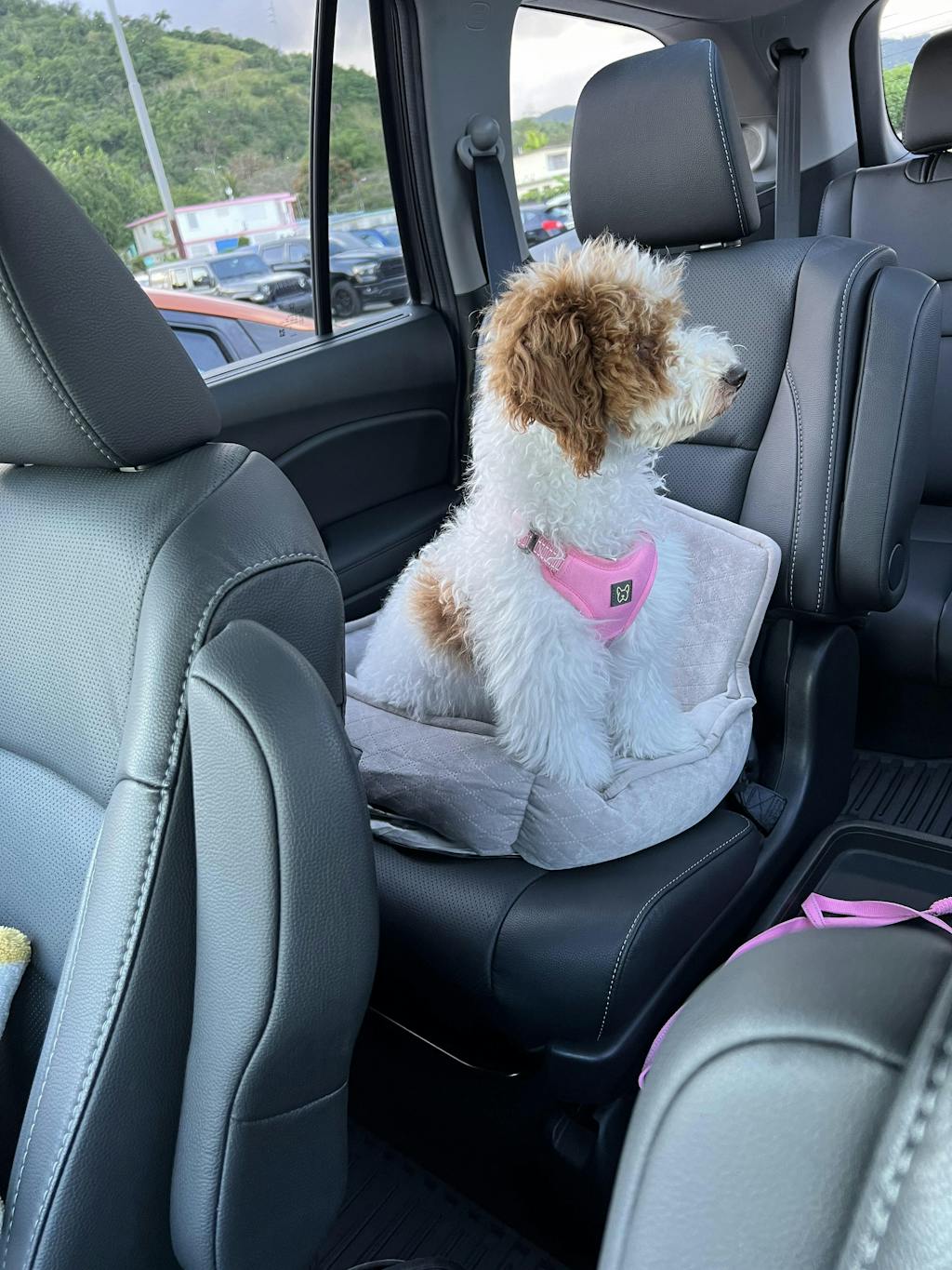 Dog Car Seat Quilted Small/Light Gray Nandog Pet Gear™