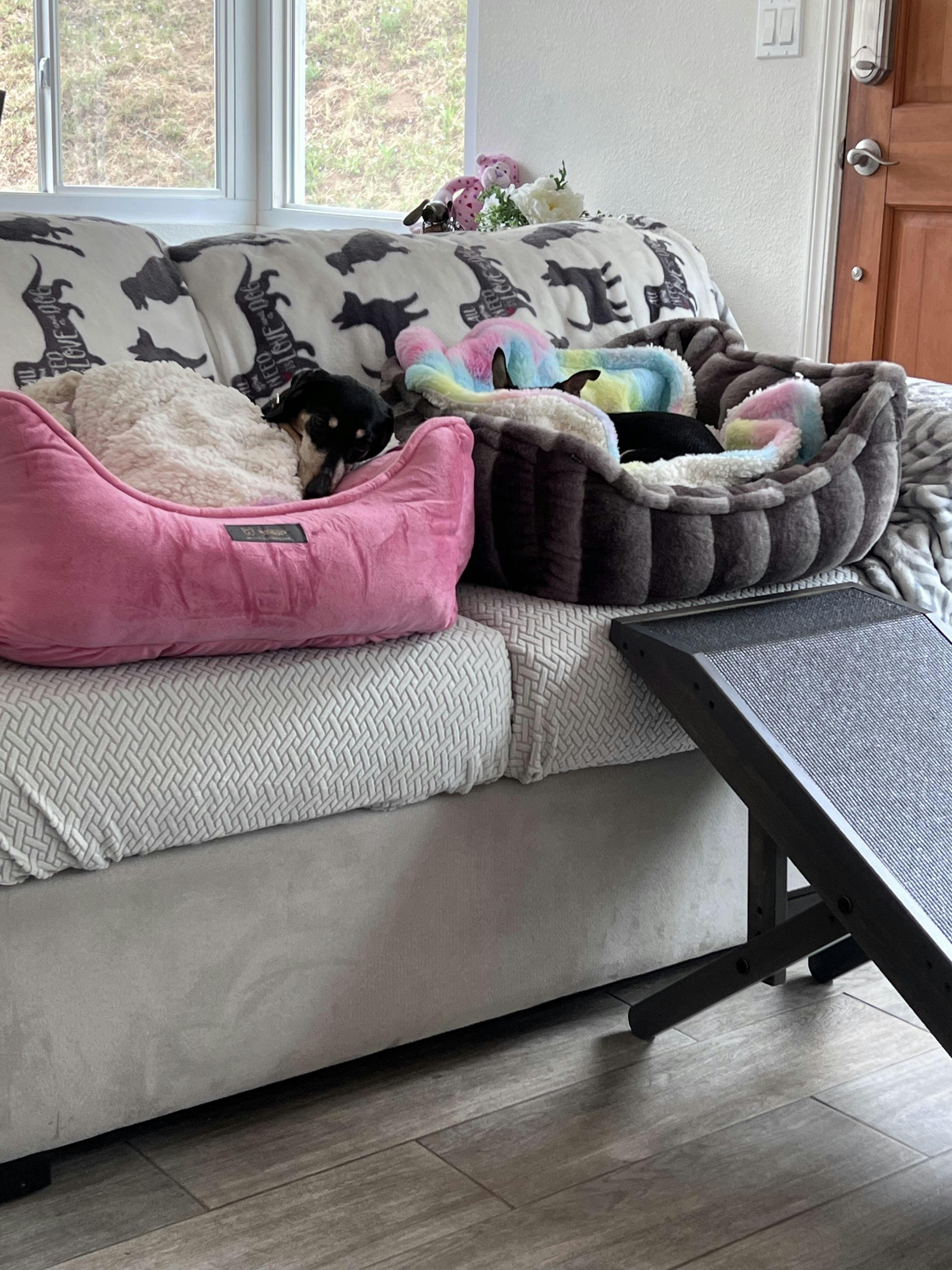 Reversible Dog & Cat Bed Signature Collection in Light Aqua Nandog