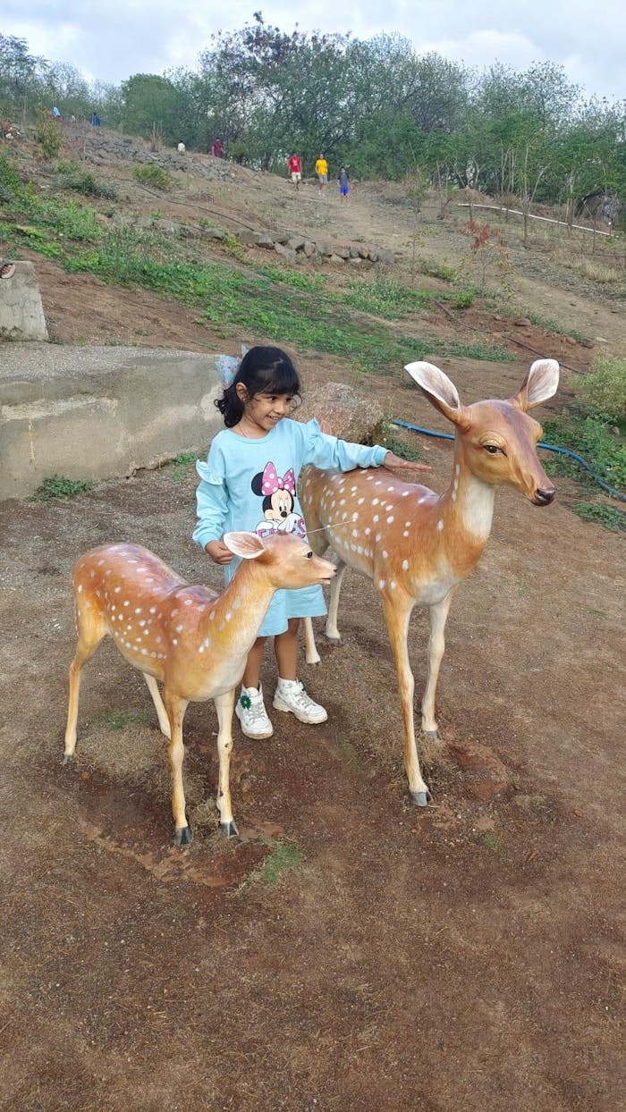 Fearless Minnie Dress