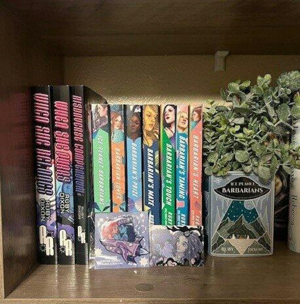 Ice Planet Barbarians Bookpot