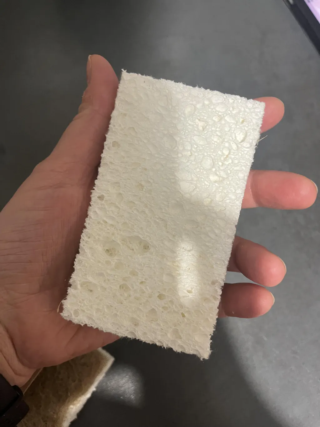 Pachet de bureți ecologici pentru vase