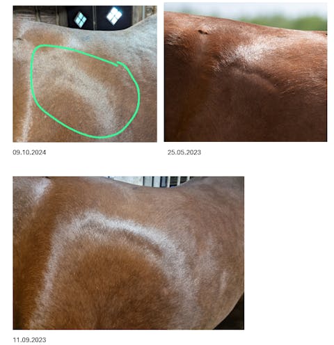 Equibalance GlucoseCare 1.5 kg