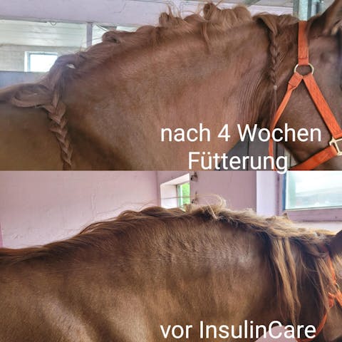 Equibalance GlucoseCare 1.5 kg