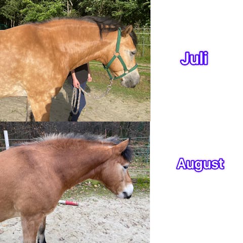 Equibalance GlucoseCare 1.5 kg