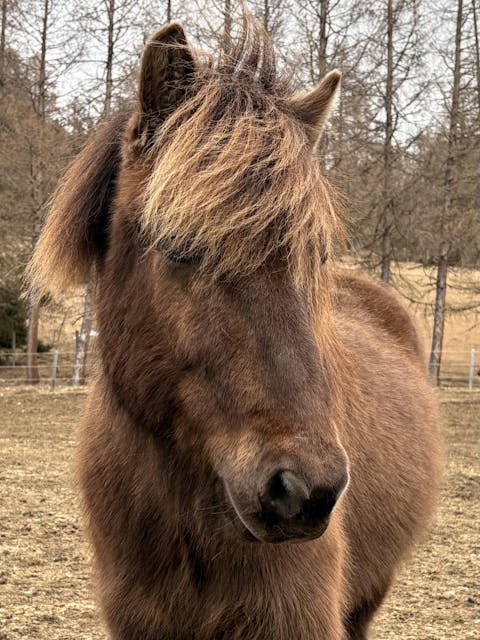 Equibalance BiomeSupport