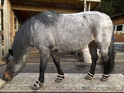 Equibalance GlucoseCare 1.5 kg