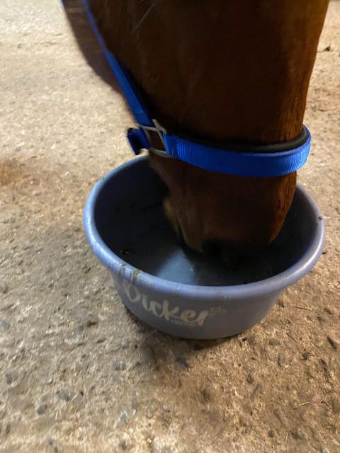 Equibalance DailyFibers