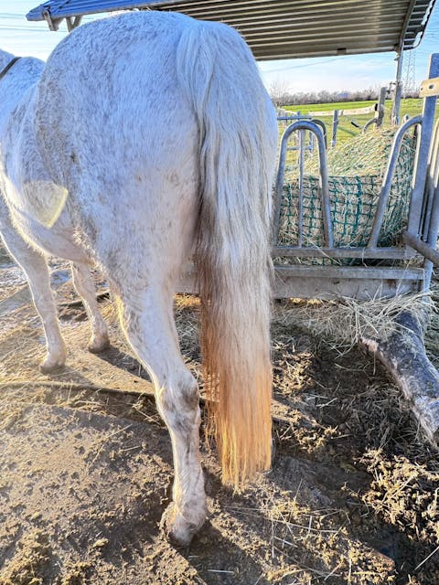 Equibalance BiomeSupport