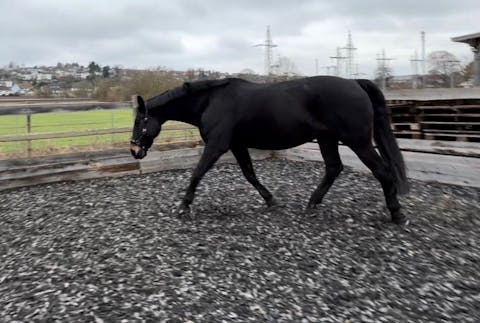 Equibalance BiomeSupport