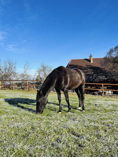 Equibalance BiomeSupport