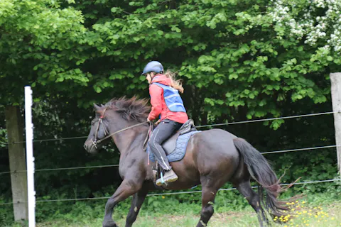 Equibalance BiomeSupport