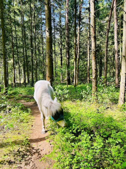 Natural Equibalance