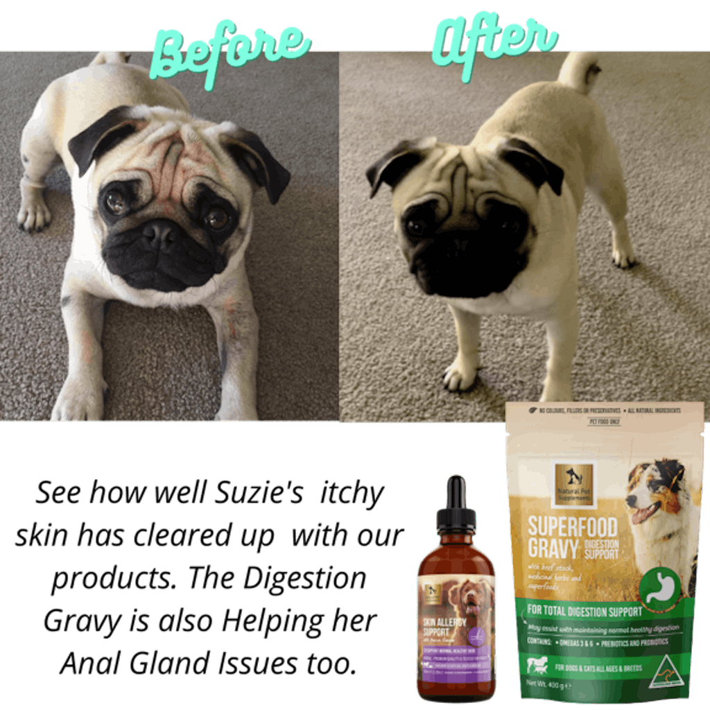Skin Allergy Support Herbal Tincture For Dogs and Cats Natural Pet