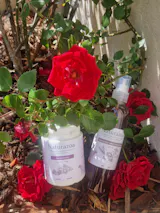 Vinaigre des 4 Voleurs