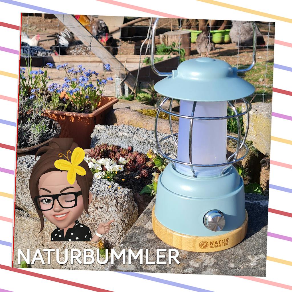 VORZELTE NATURBUMMLER visual data 4