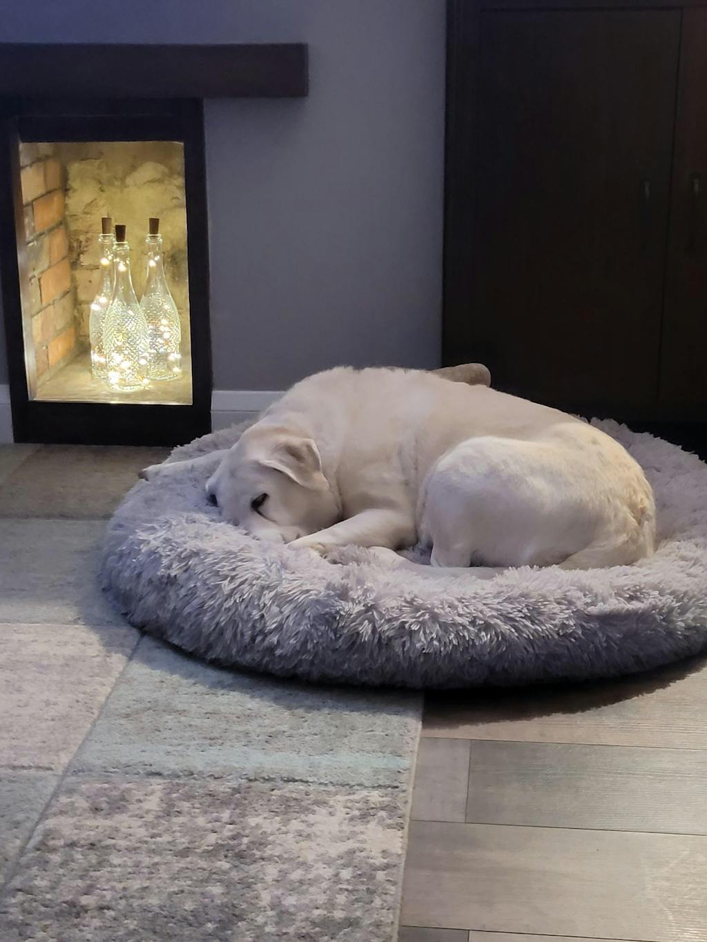 Hypoallergenic Mixer for Dogs Wheat Gluten Free 3kg bag Nature's