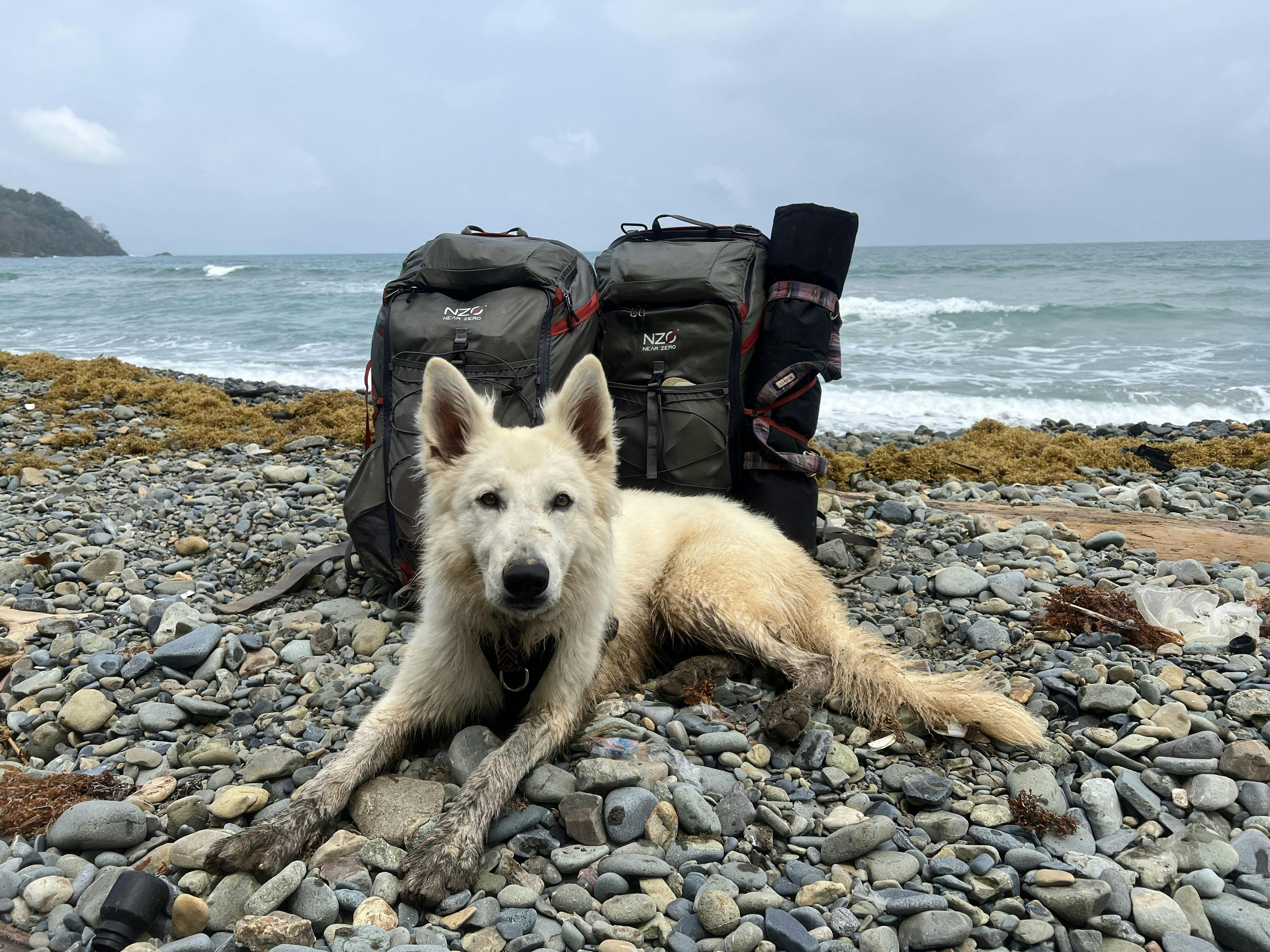 THE DEAN™ 50 Hiking Backpack - 1st Generation – Near Zero