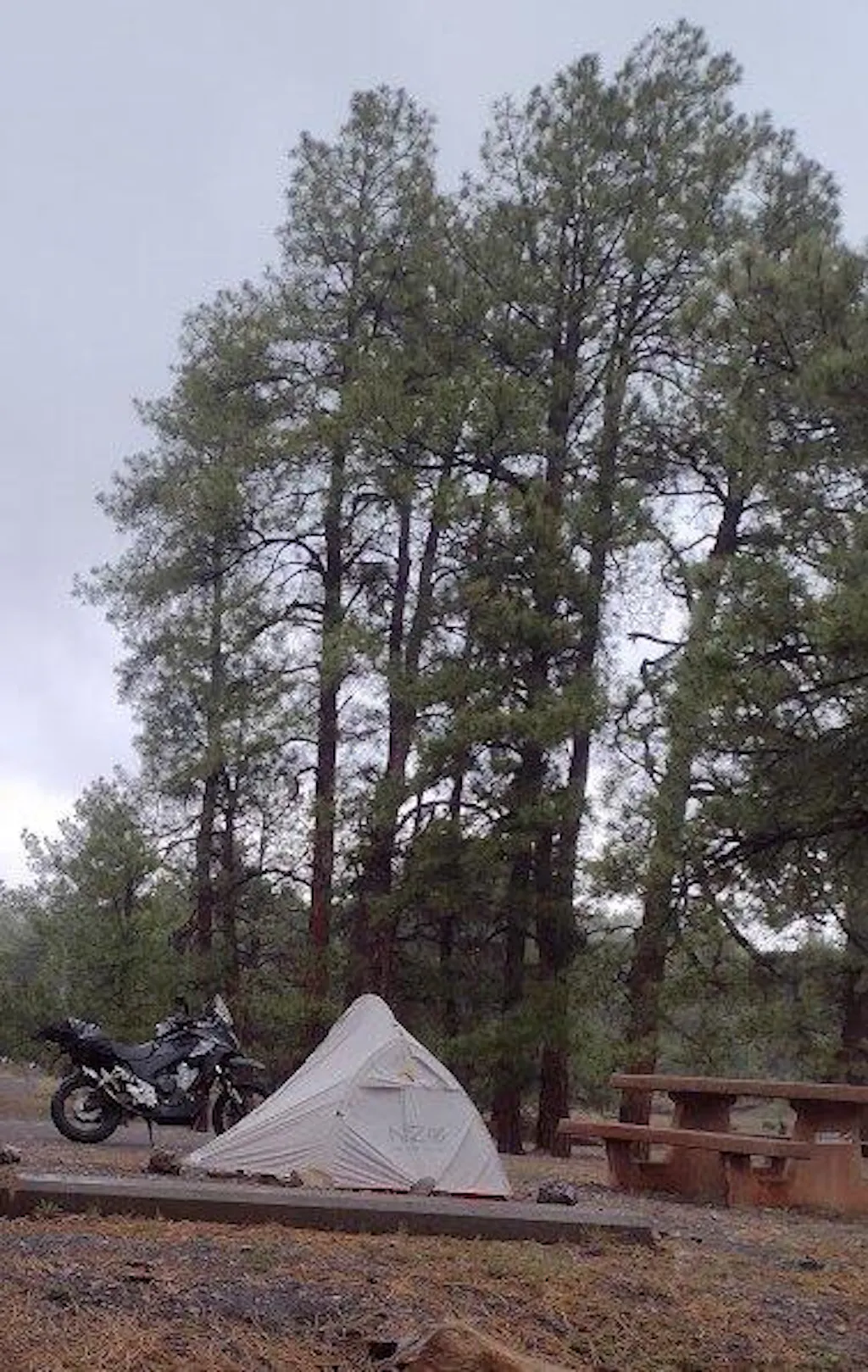 1P DynaLite Tent – Near Zero