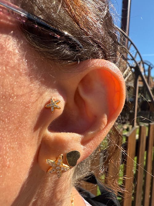 Piercing Ariel