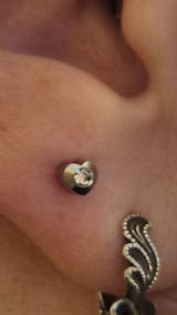 Ausu kopšanas līdzeklis