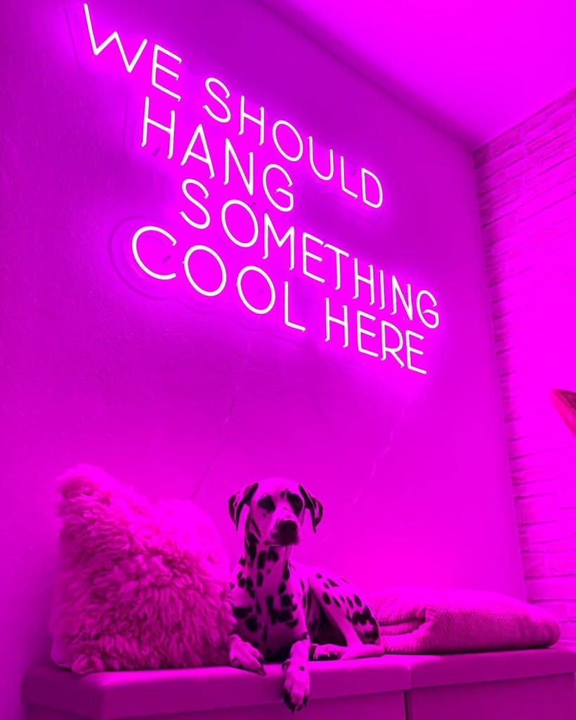 Neonty