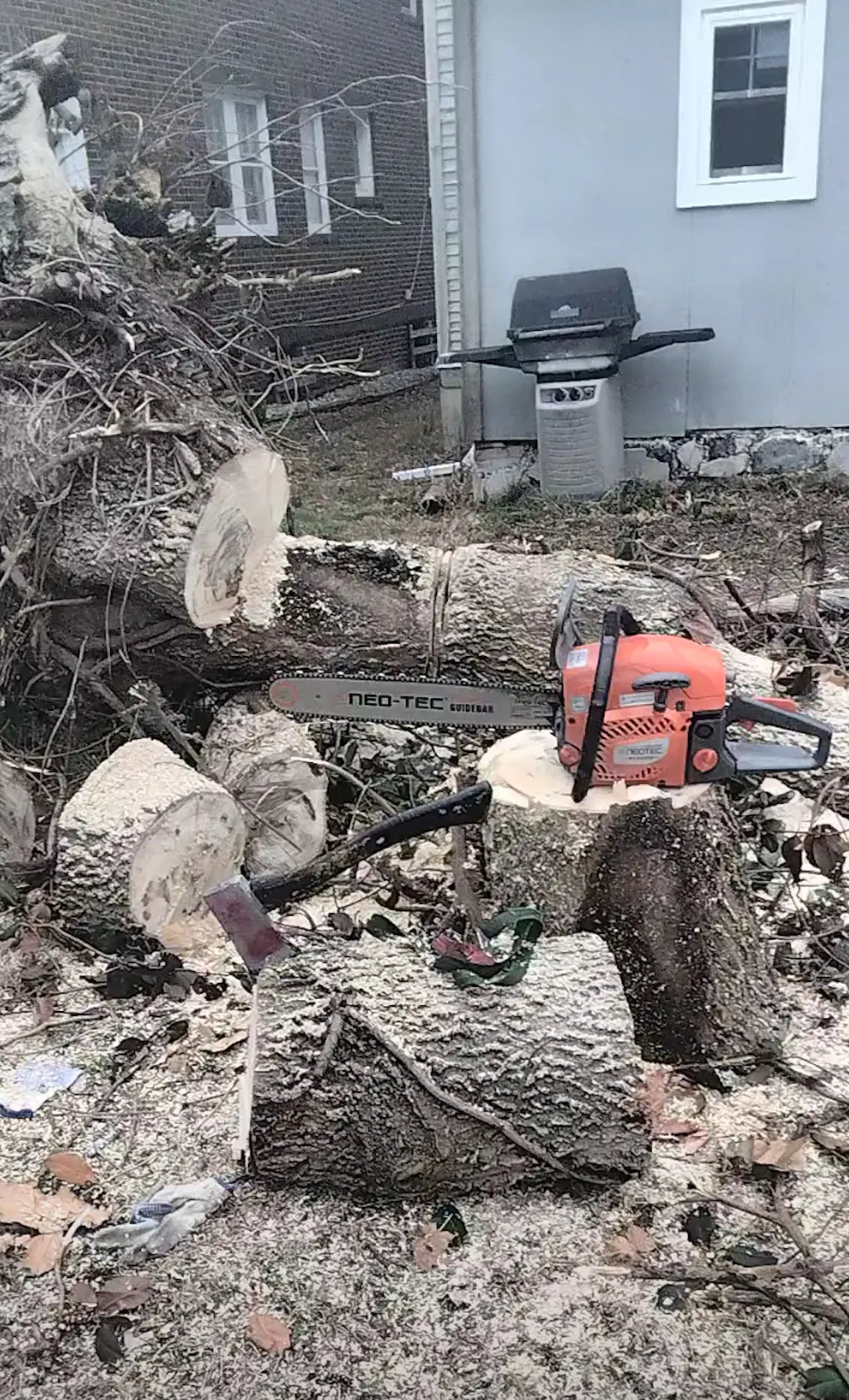 Commercial-Grade 62CC Gas Chainsaw - 20