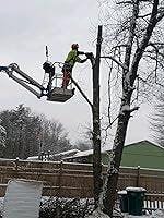 Commercial-Grade 62CC Gas Chainsaw - 20