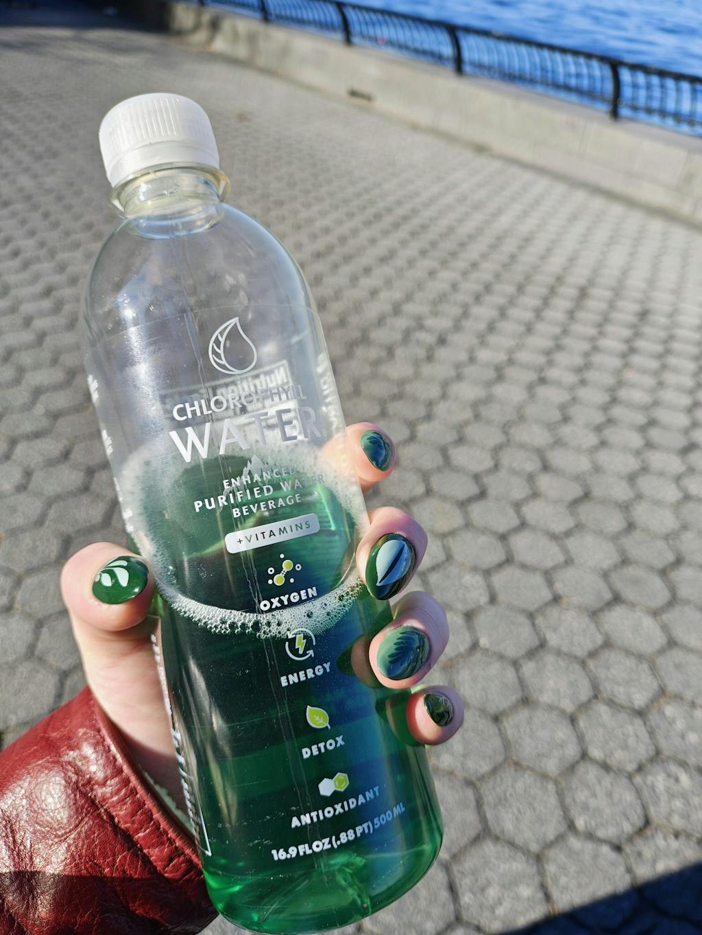 Happy Herbs by Lauren Hom - Green Press On Nails