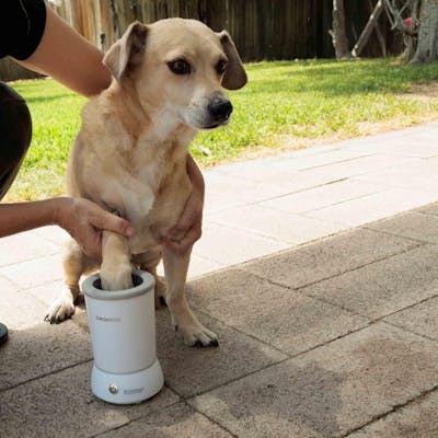 dog cleaning pod portable gadget