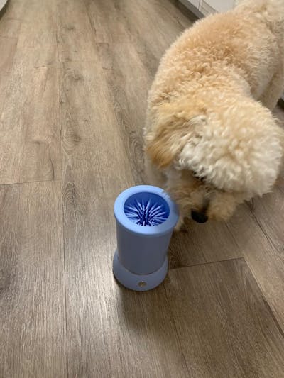 dog cleaning pod portable gadget