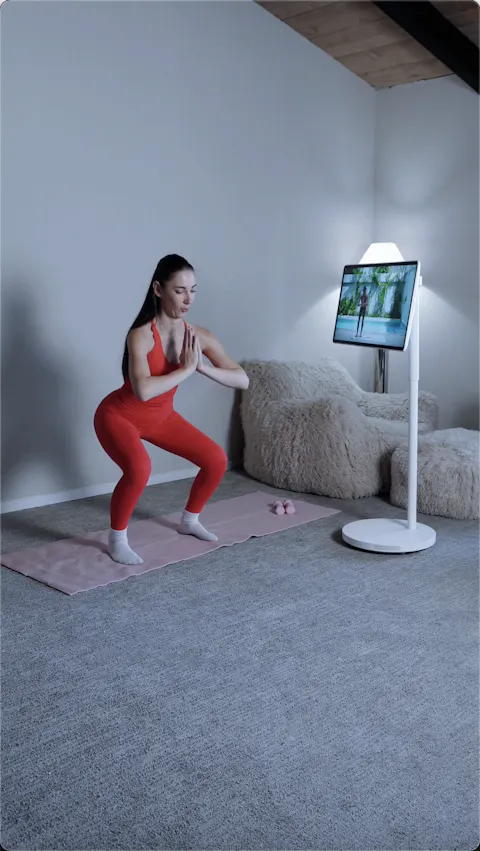 Nework MoveMate Hi-Fi 27" — Bring the Cinema With You