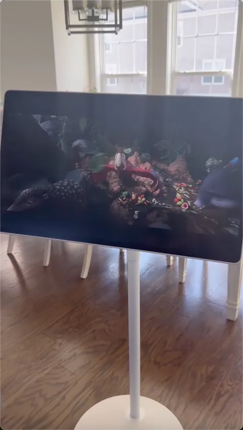 Nework MoveMate Hi-Fi 27" — Bring the Cinema With You