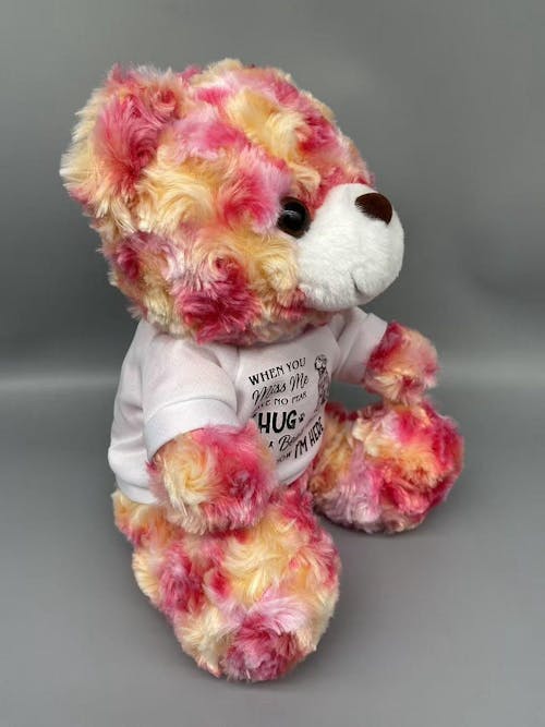 Personalized Pet Memorial Bear Plush - Custom Photo and Name Bear - Personalized Plush Bear