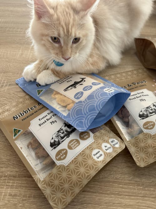 Freeze Dried Salmon 70g