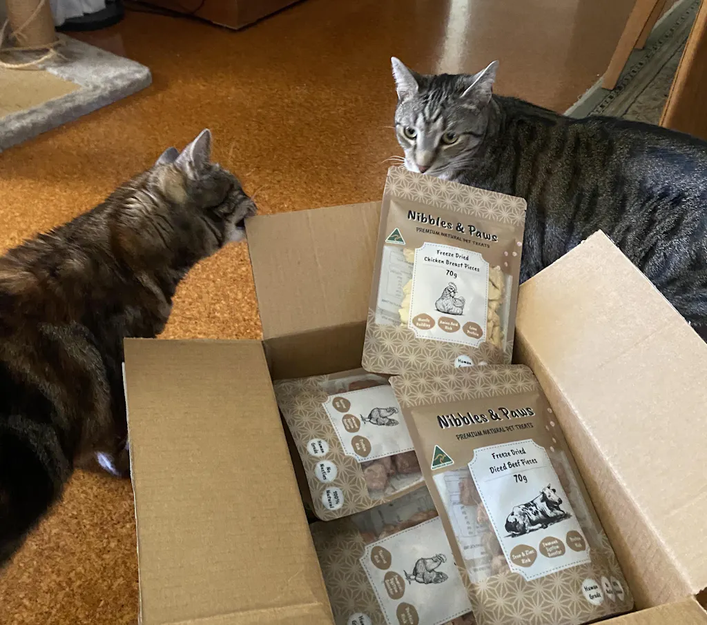 Freeze Dried Diced Beef 70g 