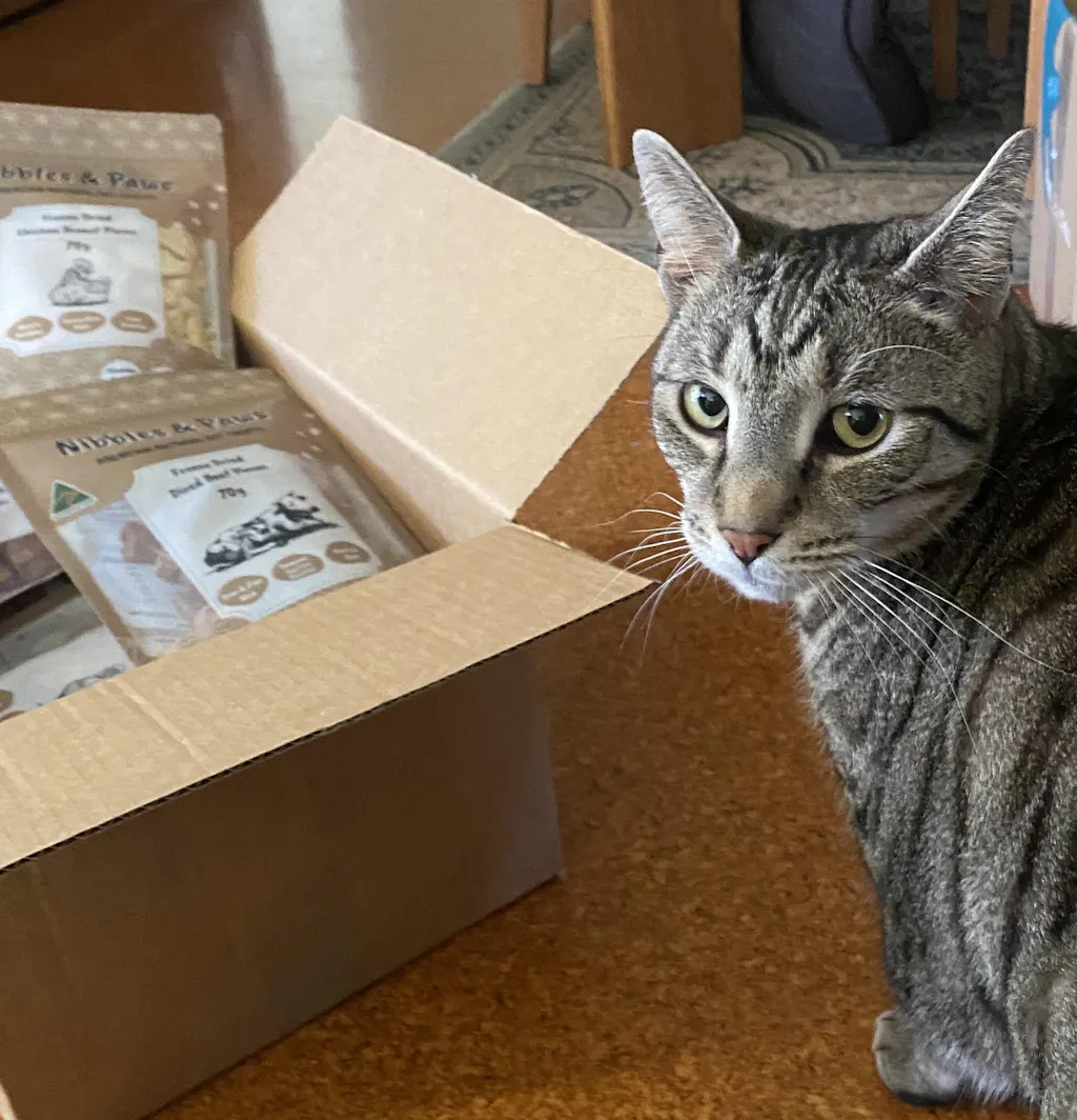 Freeze Dried Chicken Hearts 70g 