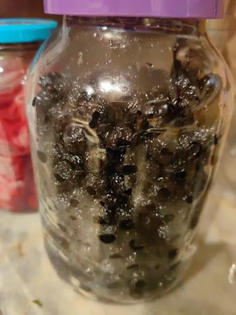 İznik Kuru Sele Doğal Az Tuzlu L 1 KG