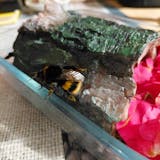 Letters to my wife journal