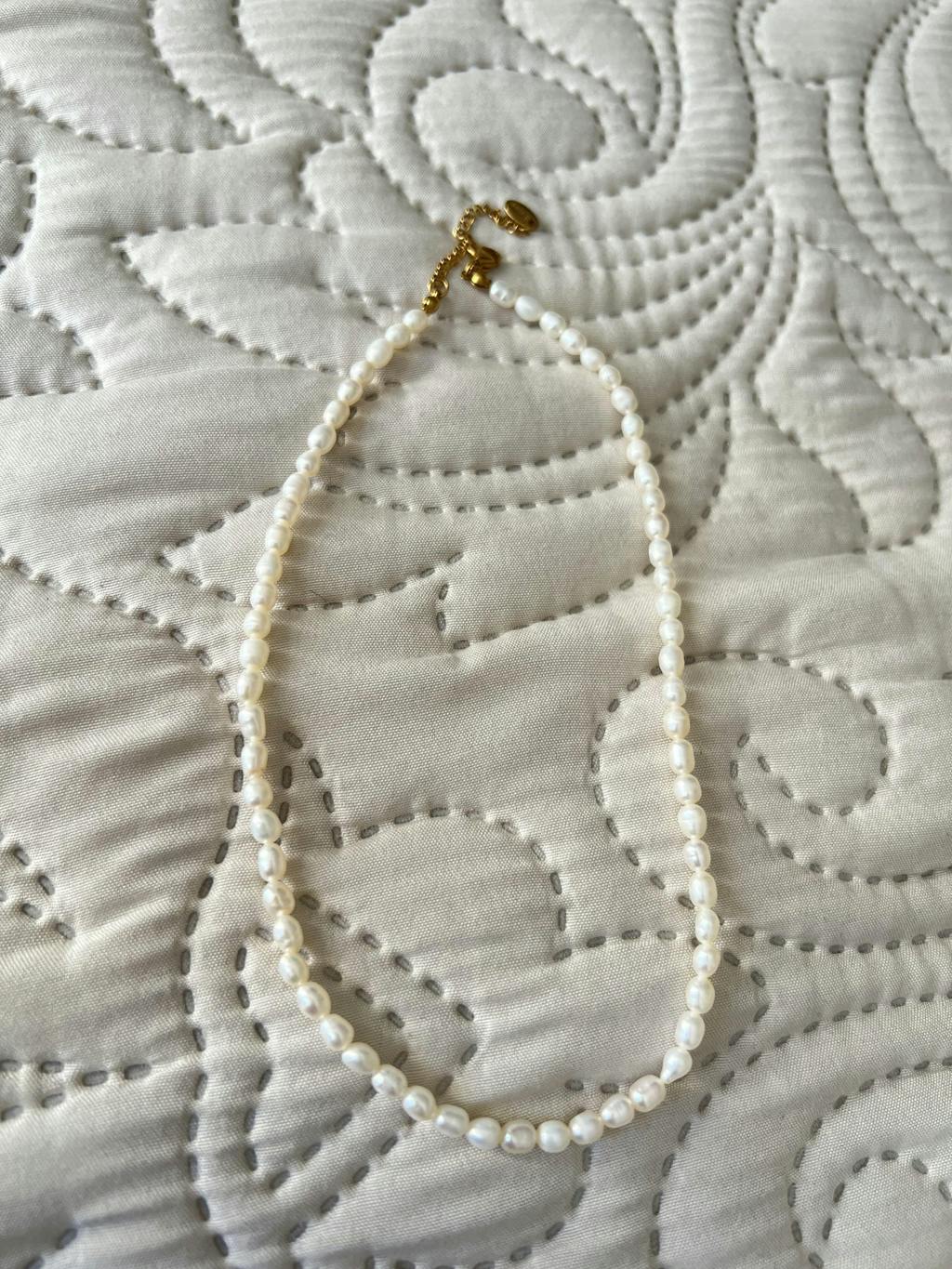 CHOCKER DE AGUA DULCE