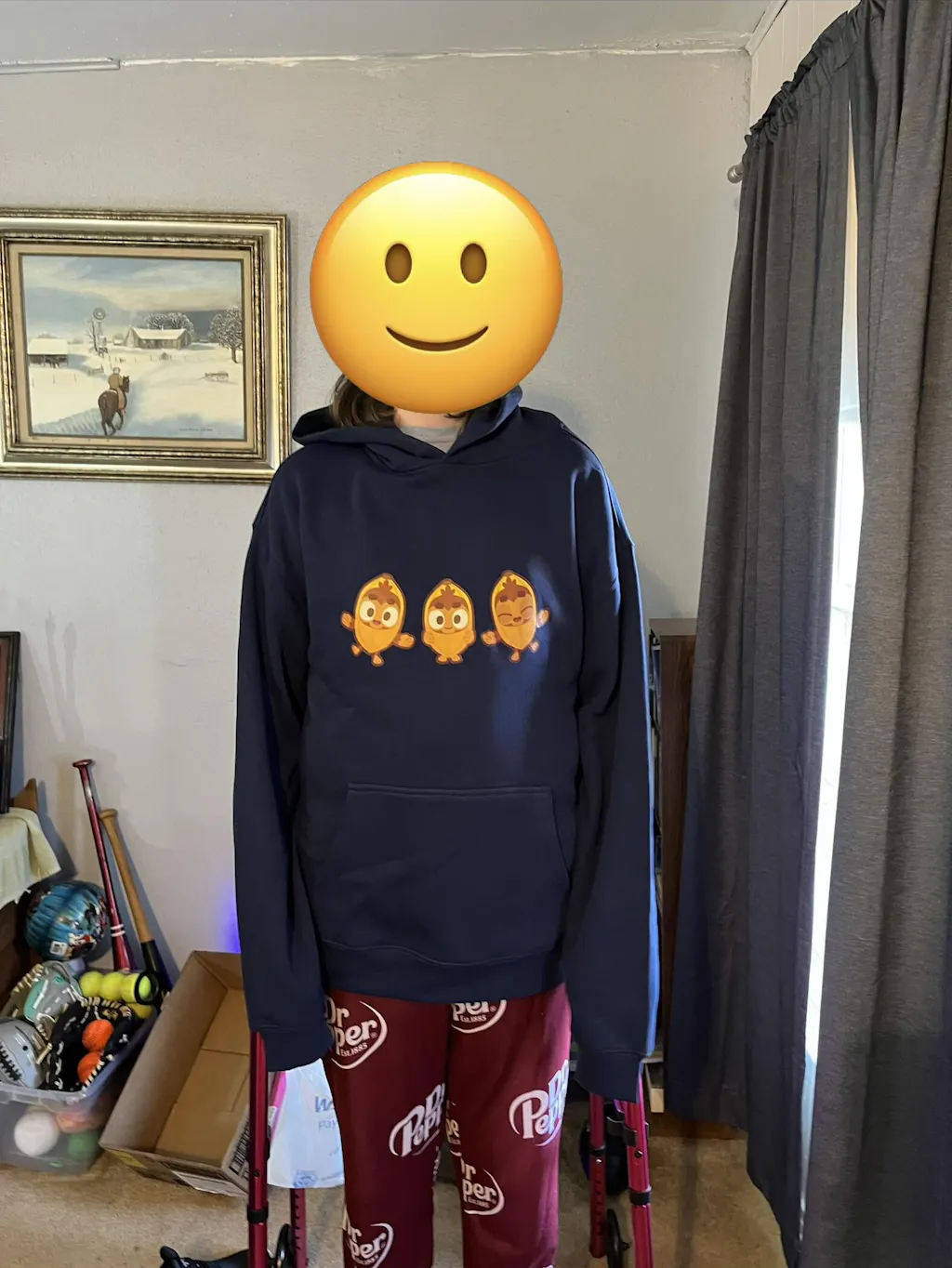 Banana Monkey Premium Oversized Hoodie (Unisex)