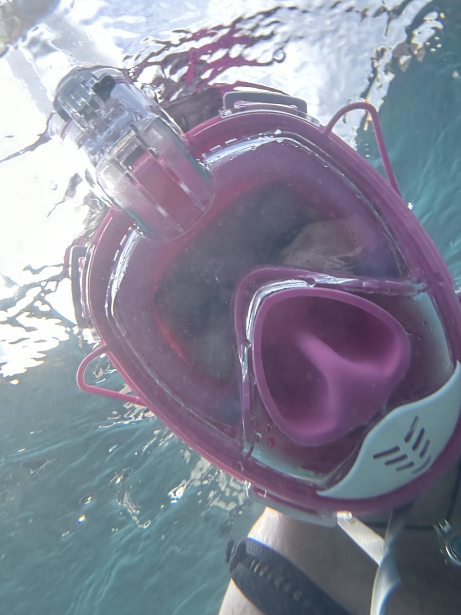 Lav robot drøm Full Face Snorkel Mask Gear Set - Swim & Dive - Ninja Shark Australia
