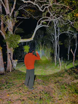 MH25 PRO 3,300 Lúmenes 705 M