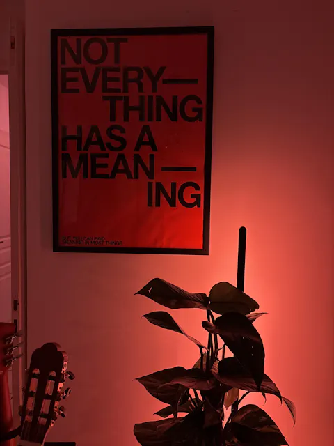 NOT EVERYTHING HAS A MEANING POSTER