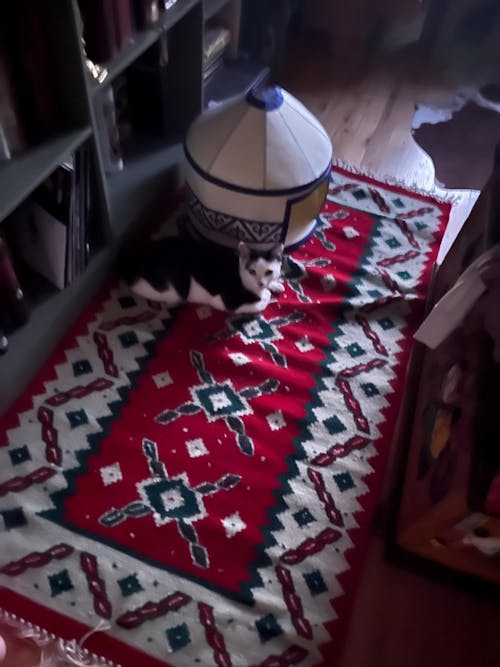 Nomadic Cat Yurts - Cozy Felt Traditional Cat Bed in Red