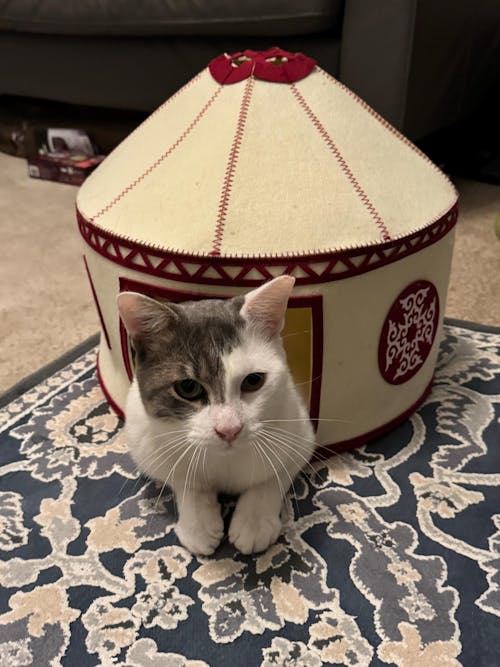 Nomadic Cat Yurts - Cozy Felt Traditional Cat Bed in Red