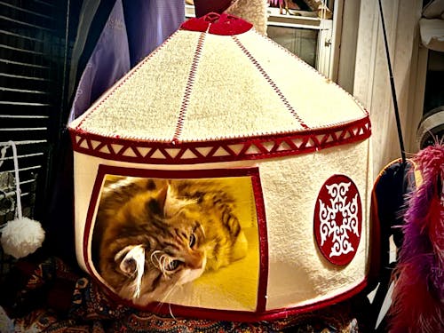 Nomadic Cat Yurts - Cozy Felt Traditional Cat Bed in Red