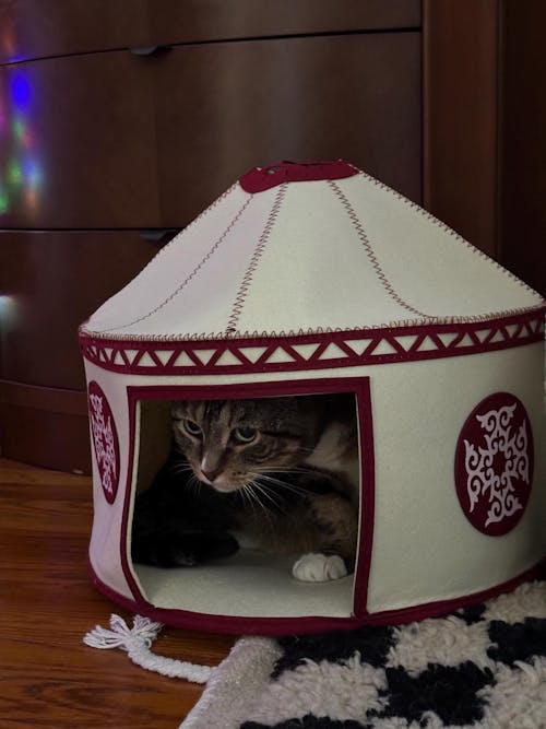 Nomadic Cat Yurts - Cozy Felt Traditional Cat Bed in Red