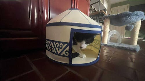 Nomadic Cat Yurts - Cozy Felt Traditional Cat Bed in Blue