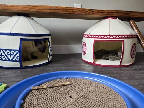 Nomadic Cat Yurts - Cozy Felt Traditional Cat Bed in Red